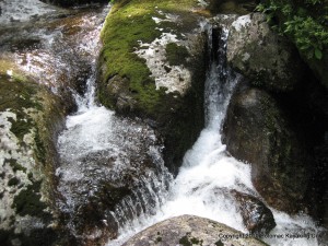 stream